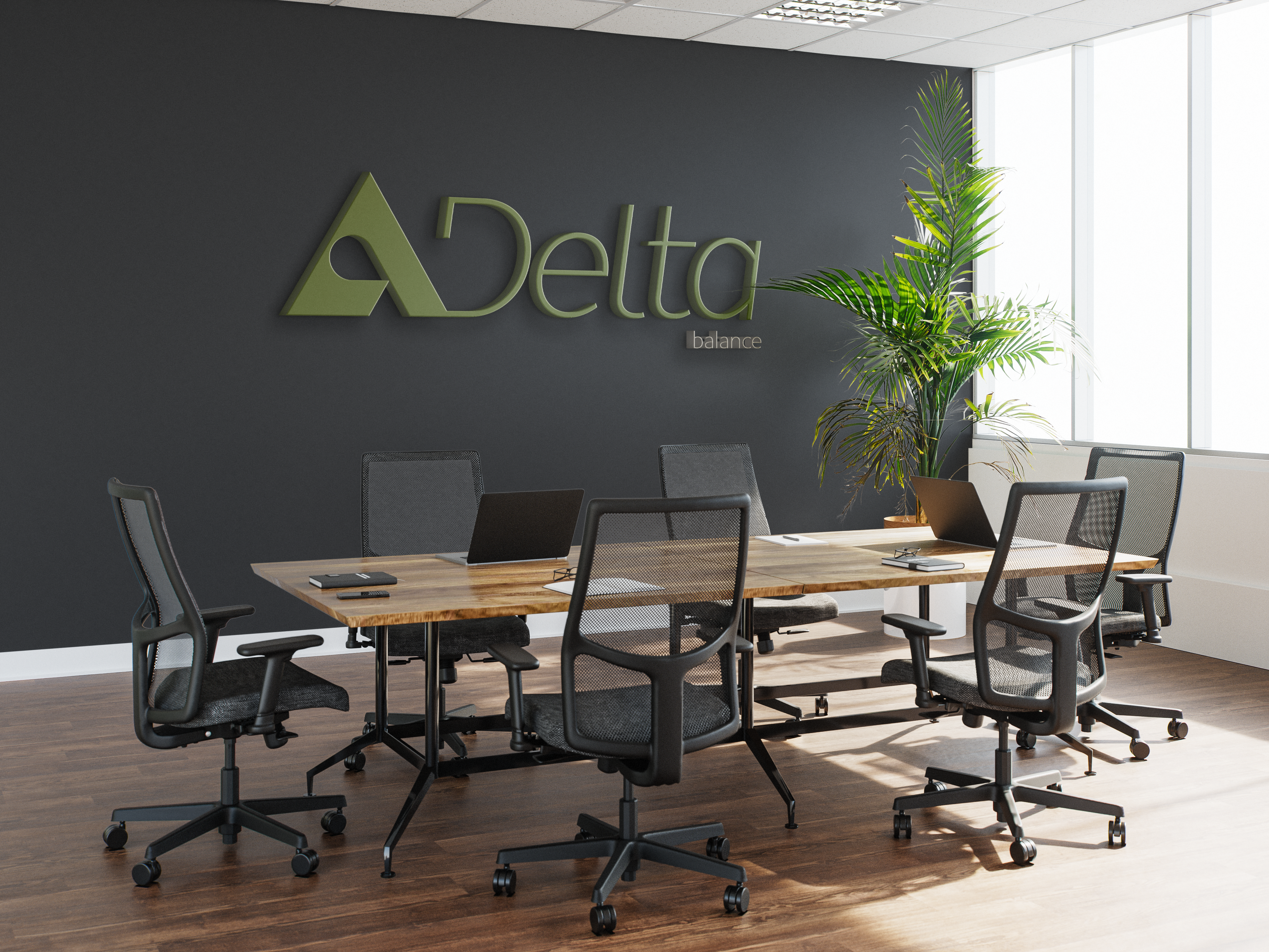 Delta Balance em uso no escritório